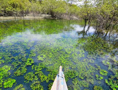 Travesías - Petén-Conoce y nada en El Cráter Azul, una reserva natural y jardín subacuático, Sayaxché Petén