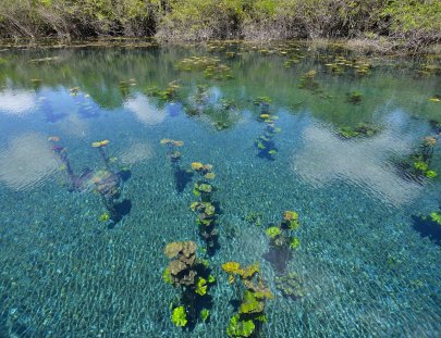 Travesías - Petén-Conoce y nada en El Cráter Azul, una reserva natural y jardín subacuático, Sayaxché Petén