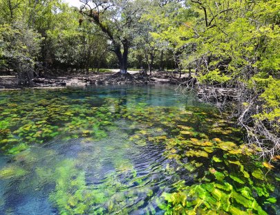 Travesías - Petén-Conoce y nada en El Cráter Azul, una reserva natural y jardín subacuático, Sayaxché Petén