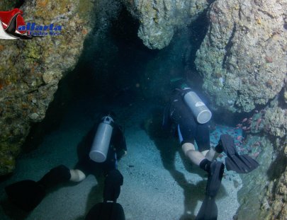 Vallarta Under Sea-Día de Buceo Privado en Puerto Vallarta