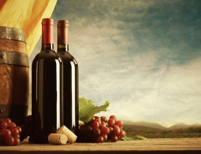 Tour de Vinos Personalizado  - Bodega Dolium