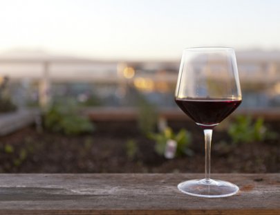 Bodega Dolium-Tour de Vinos Personalizado 