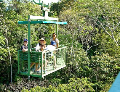 Paseo por la Jungla de Gamboa en El Teleférico - Gamboa Rainforest Resort 