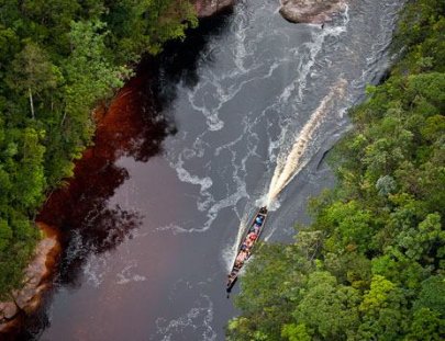 Piñero Tours-Tour de aventura por las selvas de Amazonia