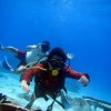 Babieca Dive Center-Completa un Curso de Aguas Abiertas en Quintana Roo