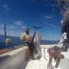 Pv Sportfishing-Un día de pesca deportiva lleno de acción