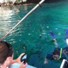 Vallarta Explore-Tours Privados de Snorkel en Puerto Vallarta 