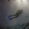 Silent World Divers-Aventura de Snorkel en las Islas Marietas