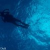 Tres Pelicanos Dive Center-Aprende a Bucear en Cozumel