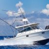 Chichi Charters-Pesca de deportiva de fondo en Cozumel