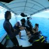 Bluedream Cozumel-Bucea el segundo sistema de arrecifes más grande del mundo