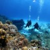 Bluedream Cozumel-Bucea el segundo sistema de arrecifes más grande del mundo
