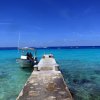 Bluedream Cozumel-Bucea el segundo sistema de arrecifes más grande del mundo
