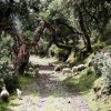 Hacienda Del Chalán-Cabalgata en reserva natural de Manthanay y lagunas interandinas