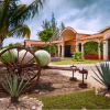Hacienda Antigua-La historia del Tequila con Catación y un Tour de Procesos