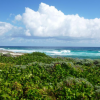 Chac Choc Tours-El tour favorito en bus por la isla Cozumel