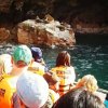 Secrets Of Peru-Tour en Bote a las Islas Ballestas