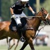 Polo Tours-Día Completo de Polo en Buenos Aires