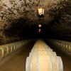Concha Y Toro-Bodega legendaria cuenta la historia del vino más famoso de Chile 
