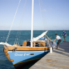 Sirena Azul Sailing-Navegación y snorkel en el velero tradicional Beliceño Sirena Azul