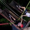 Tropical Tree Climbing-Un día completo para escalar los arboles tropicales en el bosque amazónico
