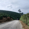 Retro Cilclas Colombia-Alto Del Nudo Tour en Bicicleta 