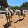 Hacienda Macanao-Cabalga en paisajes caribeños