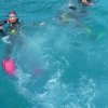 Adventure Discovery-Clase PADI de Introducción al Buceo