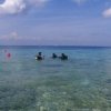 Adventure Discovery-Clase PADI de Introducción al Buceo