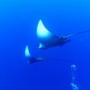 Adventure Discovery-Clase PADI de Introducción al Buceo