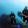 Chucho Underwater-Bucea con un experto en las aguas de Cozumel