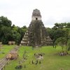 Guatemala Travel-Tikal Express, expedición de 1 día a Tikal 