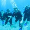 Cozumel Marine World-Discover Scuba Diving