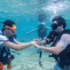 Dive Jamanta- Programa de Discover Scuba Diving