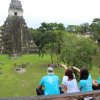 Guatemala Travel-Vuela y conoce la jungla de Petén y las ruinas de Tikal (2 días y 1 noche)