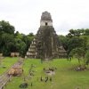 Guatemala Travel-Vuela y conoce la jungla de Petén y las ruinas de Tikal (2 días y 1 noche)