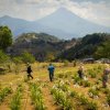 Hobbitenango-Conéctate con la naturaleza en un lugar mágico 