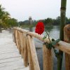 Hotel Amatique Bay Resort & Marina-Un Paraíso en el Caribe Guatemalteco