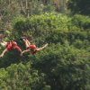 Parque Calderas-1 día en un parque ecológico; canopy, rappel, pesca, columpios, caminatas