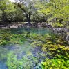 Travesías - Petén-Conoce y nada en El Cráter Azul, una reserva natural y jardín subacuático, Sayaxché Petén