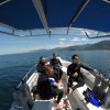 Vallarta Under Sea-Día de Buceo Privado en Puerto Vallarta