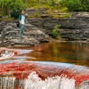 Caño Cristales El Rio De Los Cinco Colores-Expedición de dos dias al Rio de Cinco Colores