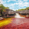 Caño Cristales El Rio De Los Cinco Colores-Expedición de dos dias al Rio de Cinco Colores