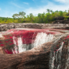 Caño Cristales El Rio De Los Cinco Colores-Expedición de dos dias al Rio de Cinco Colores