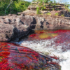 Caño Cristales El Rio De Los Cinco Colores-Expedición de dos dias al Rio de Cinco Colores