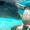 Waterland-Nada  con delfines en Waterland