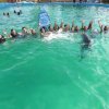 Waterland-Nada  con delfines en Waterland