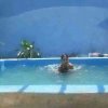 Gecko Hostal-Un hostal privado para grupos en un ambiente tropical