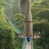 Inkaterra-Caminar por un canopy walkway por la selva tropical