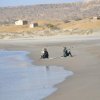 Wildk-Kitesurf: Un deporte excitante para Aprender